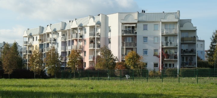 Nowy etap prac w Parku Centralnym na Felinie. Miasto ogłasza przetarg